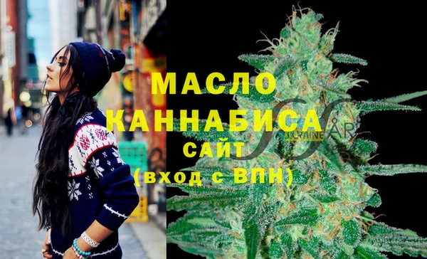 ECSTASY Вяземский