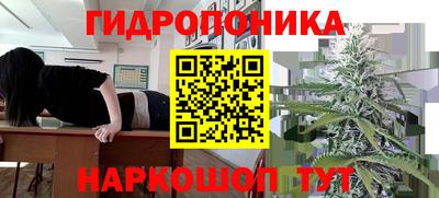 эйфоретик Балаково