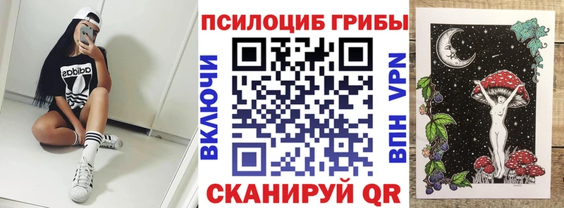 darknet какой сайт  Егорьевск  Галлюциногенные грибы прущие грибы 