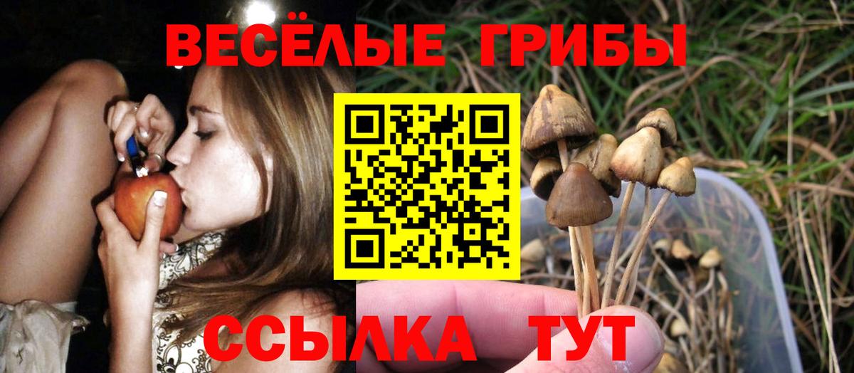 Егорьевск  Галлюциногенные грибы мухоморы  где купить   Вход с VPN 